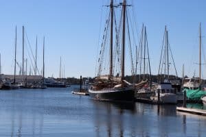 Jonathan McPhillips Plein Air paints the schooner tree of life